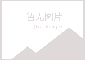 伊春山柳化学有限公司